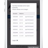Mobile Payment Portal Choose sub accounts to pay Mobile Payment Portal Choose sub accounts to pay