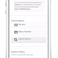 Mobile Payment Portal Choose Your Payment option Mobile Payment Portal Choose Your Payment option